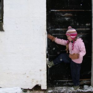 Addicted To Sheep Hetty Opening Gate