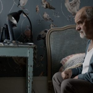 EVERYDAY STORIES OF COLOSSAL IMPORTANCE - SARAH MACE-DENNIS